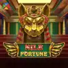 Nile Fortunes™