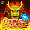 Flames Of Fortune