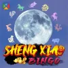 Sheng Xiao Bingo