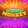 Funny Monkey