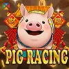PigRace