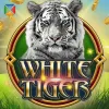 White Tiger