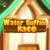 Water Buffalo Race