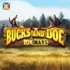 Bucks and Doe 10K Ways