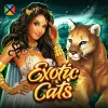 Exotic Cats