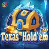 Texas Hold em