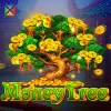 Money Tree