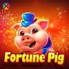 Fortune Pig