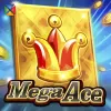 Mega Ace