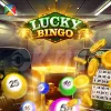 Lucky Bingo