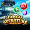 Bingo Adventure