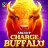 Charge Buffalo Ascent