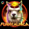 Funny Alpaca