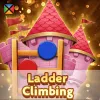 Ladder Climbing