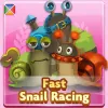 Fast Snail Racing