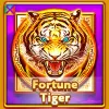 Fortune Tiger