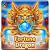 Fortune Dragon