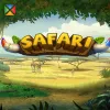 Safari
