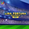 Liga Fortuna Megaways PRO