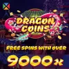 Dragon Coins