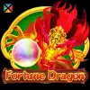 Fortune Dragon