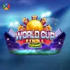 World Cup Final