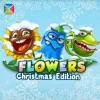 Flowers Christmas Edition