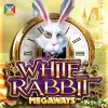 White Rabbit