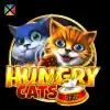 Hungry Cats