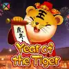 Year Of The Tiger