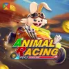 ANIMAL RACING