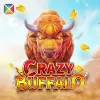 CRAZY BUFFALO