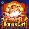 Bonus Cat