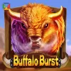 Buffalo Burst