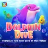 Dolphin Dive