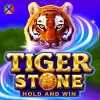 Tiger Stone