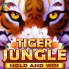 Tiger Jungle