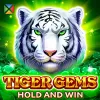Tiger Gems-Hold and win