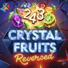 243 Crystal Fruits Reversed