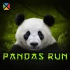 Panda's Run