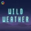 Wild Weather