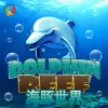 Dolphin Reef