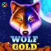 Wolf Gold