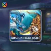 Dragon Tiger Fight